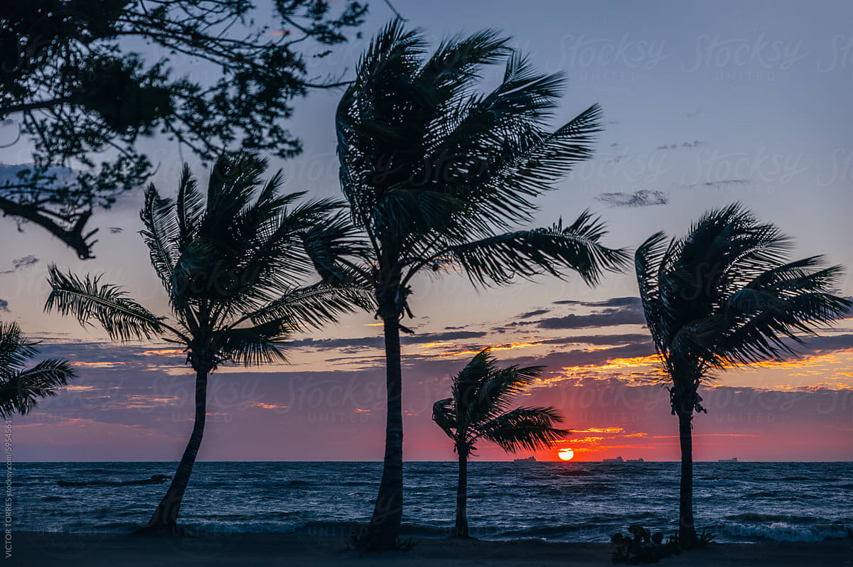 Serene sunset on a tropical beach with silhouette of palm trees