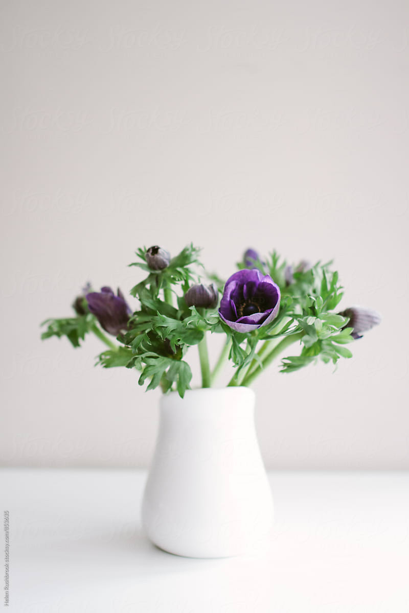 Purple anemones in a white jug.