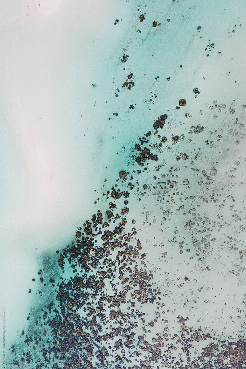Coral bleaching seen from the air