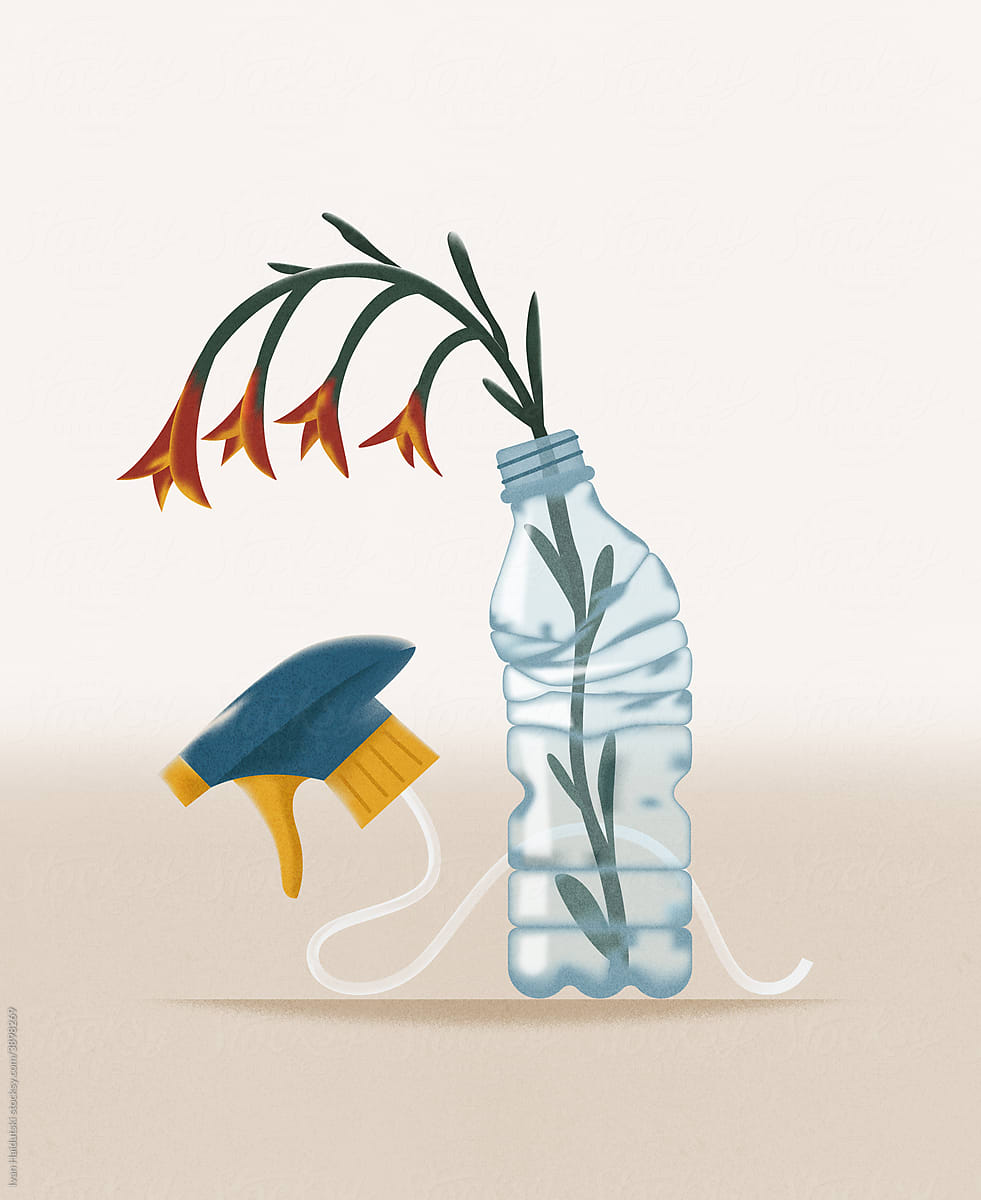Plastic spray bottle and dry flower inside illustration