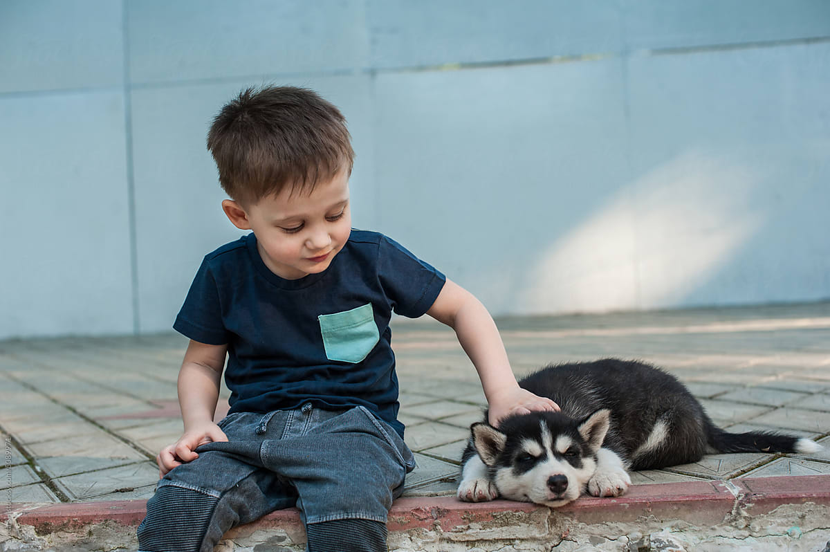 Little boy and Husky puppy