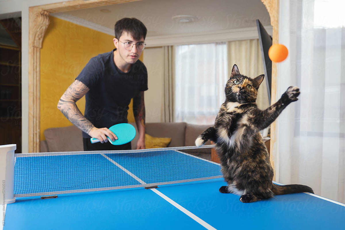Man playing table tennis with a cat