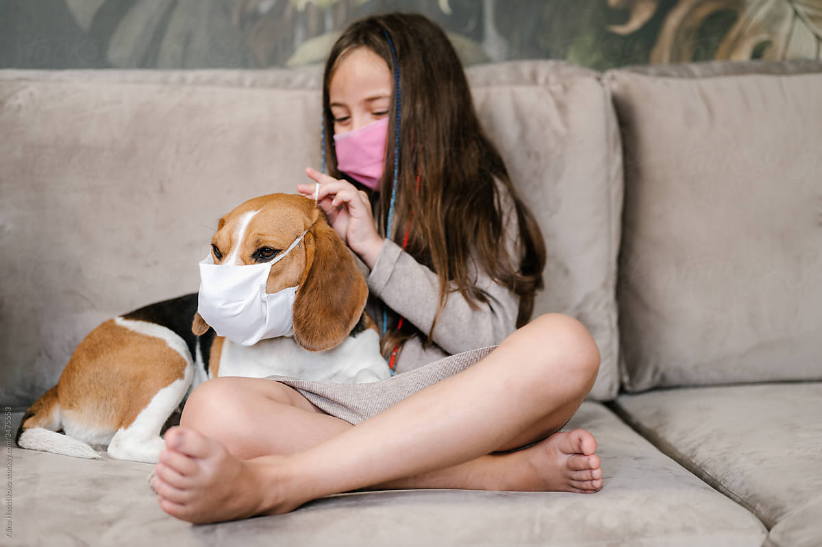 Girl putting on mask on muzzle of dog