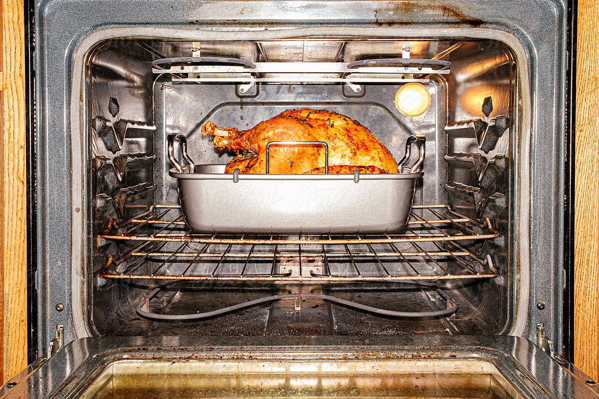 Thanksgiving Holiday Turkey