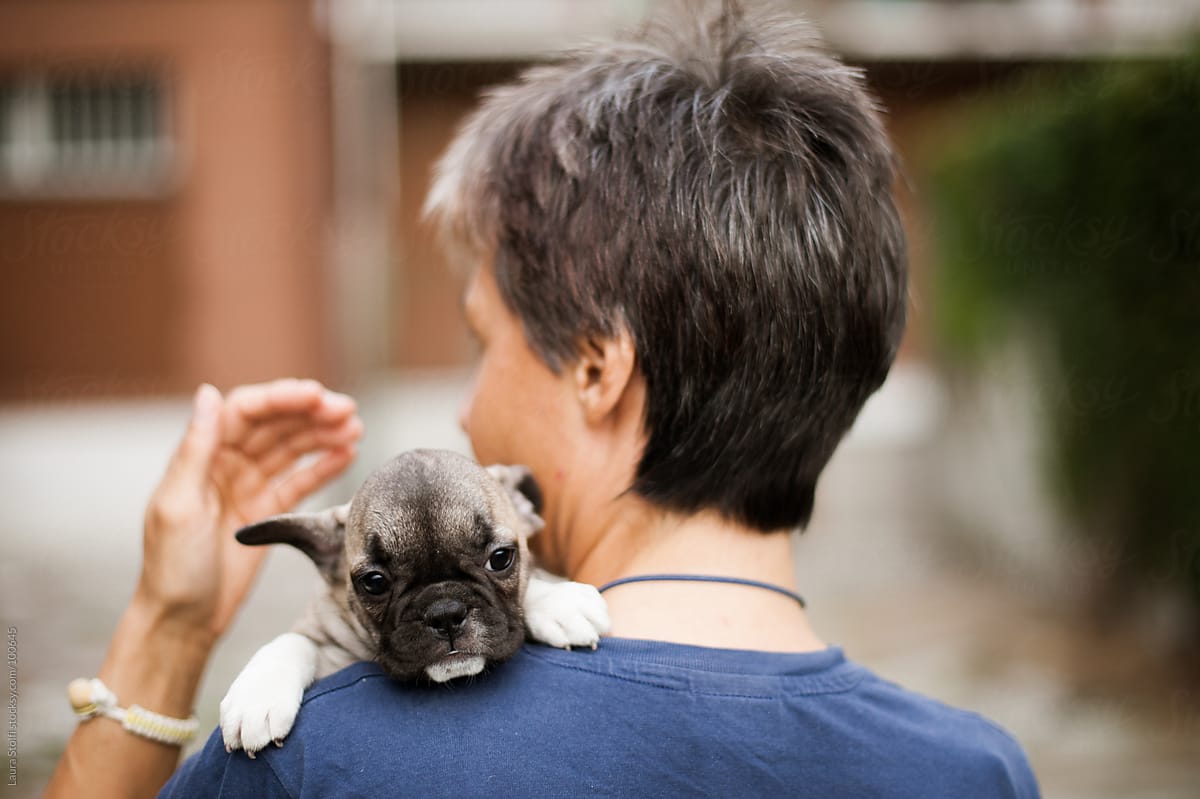 Woman seen from behind holds a French Bulldog pup in her arms