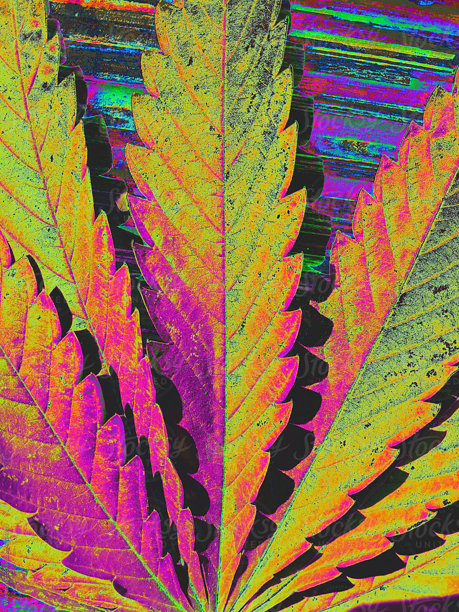 Iridescent, colorful, rainbow marijuana, cannabis leaf background