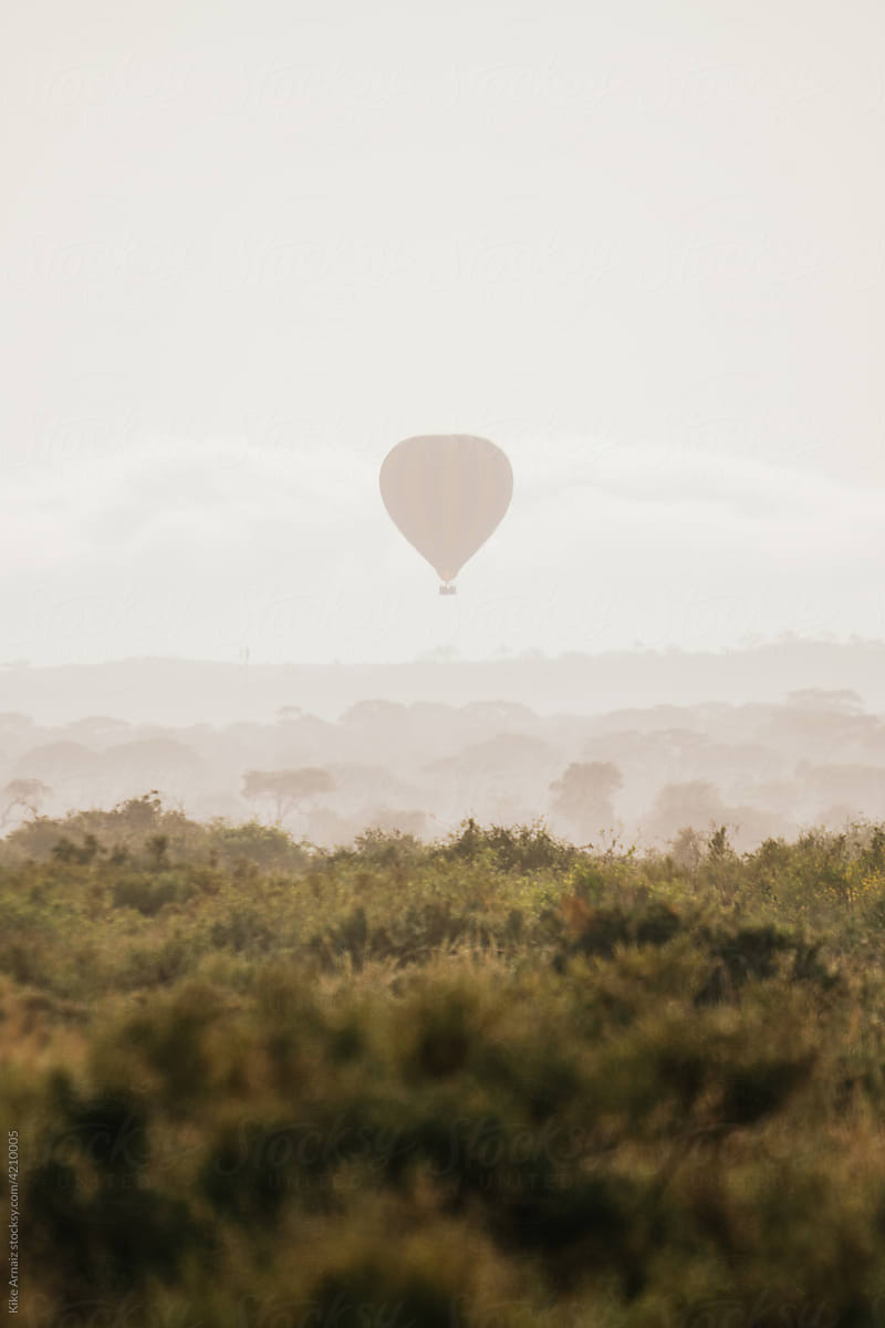 Air balloon flying over savanna