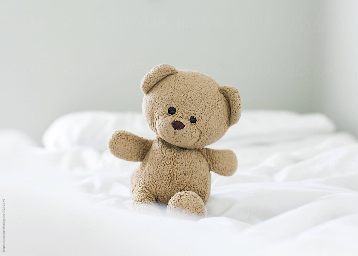 teddy in bed