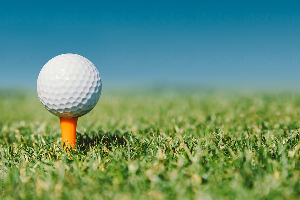 Golf Ball in an Orange Tee