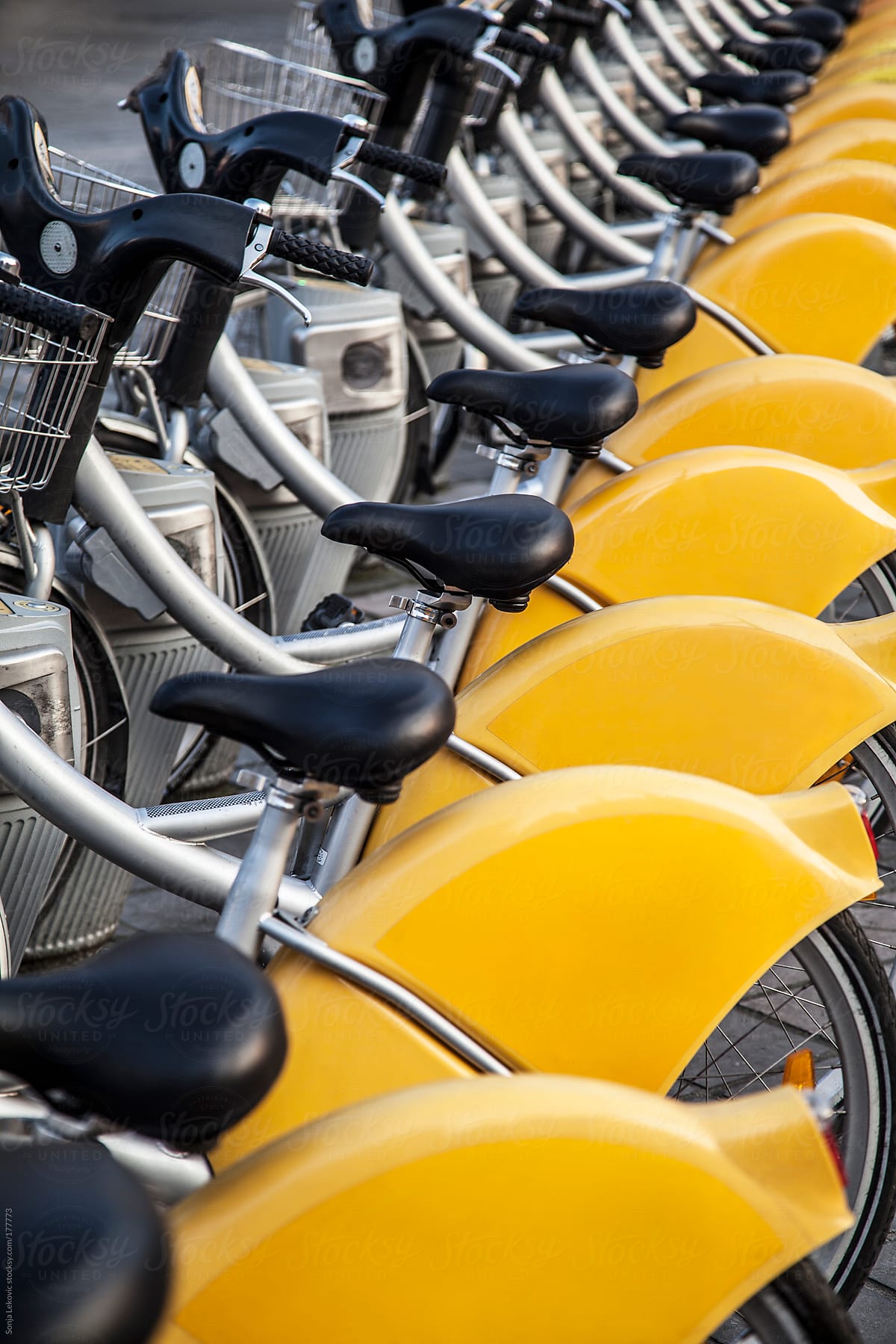 yellow bicycles in a row