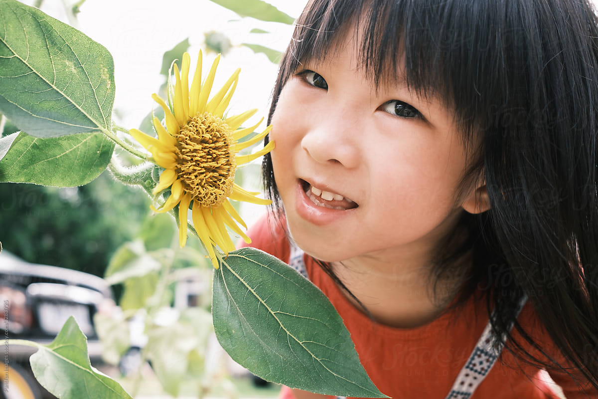 Little girl and sunflower