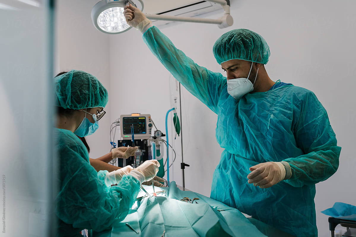 Veterinary adjusting the light of an operating room