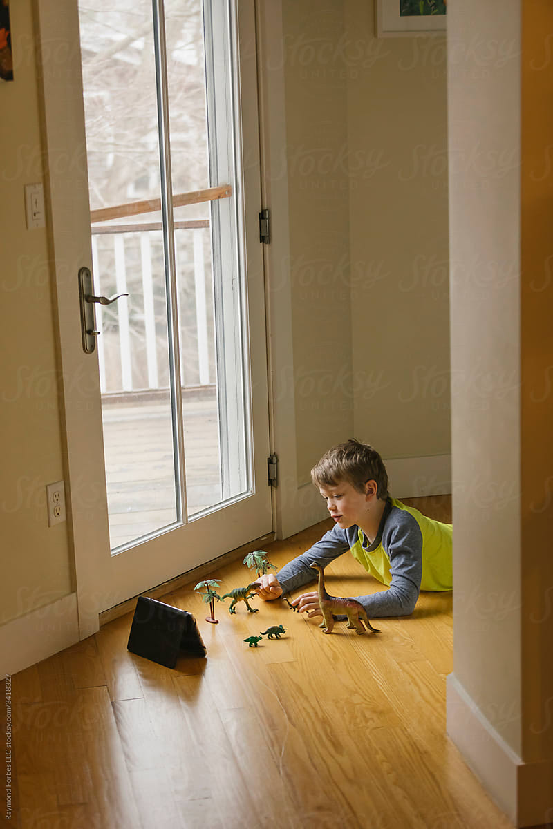 Young Boy on Video Call with Friend Playing with Toy Dinosaur Figures