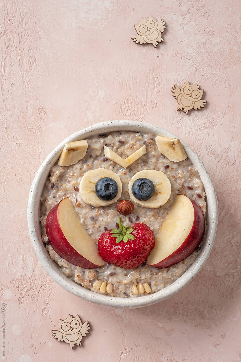Cute owl shaped breakfast healthy oatmeal porridge for kids