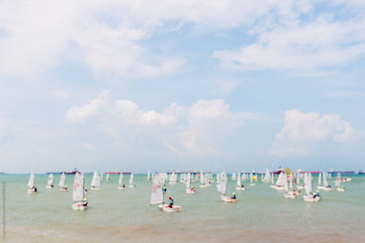 Many small sailboats launched for a regatta
