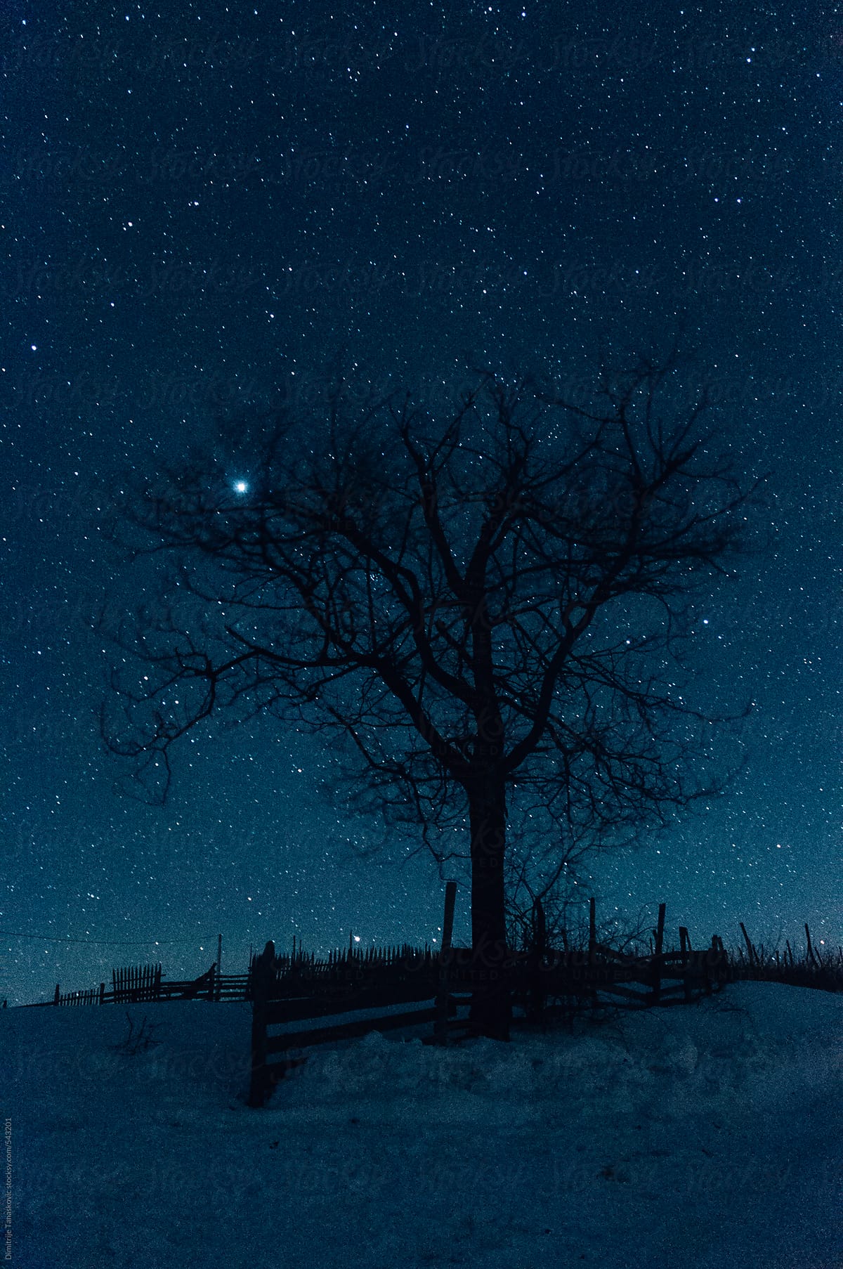 Radiant Winter Night - Colorado - Nature Windows Photography