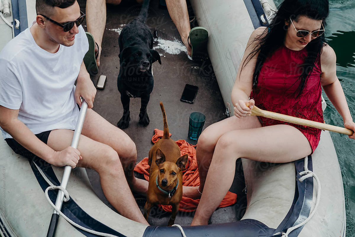 Friends With Their Dogs In A Boat