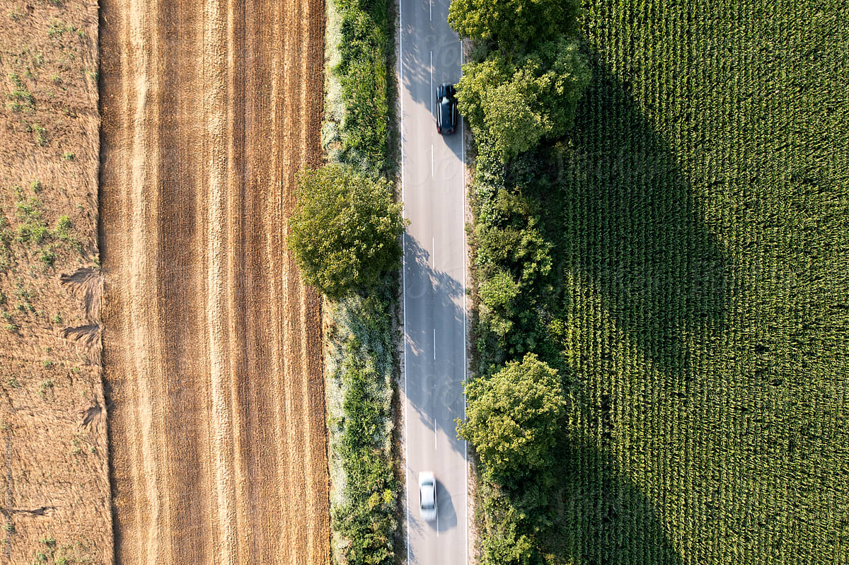 Aerial shot of road and agriculture fields with a moving car.
