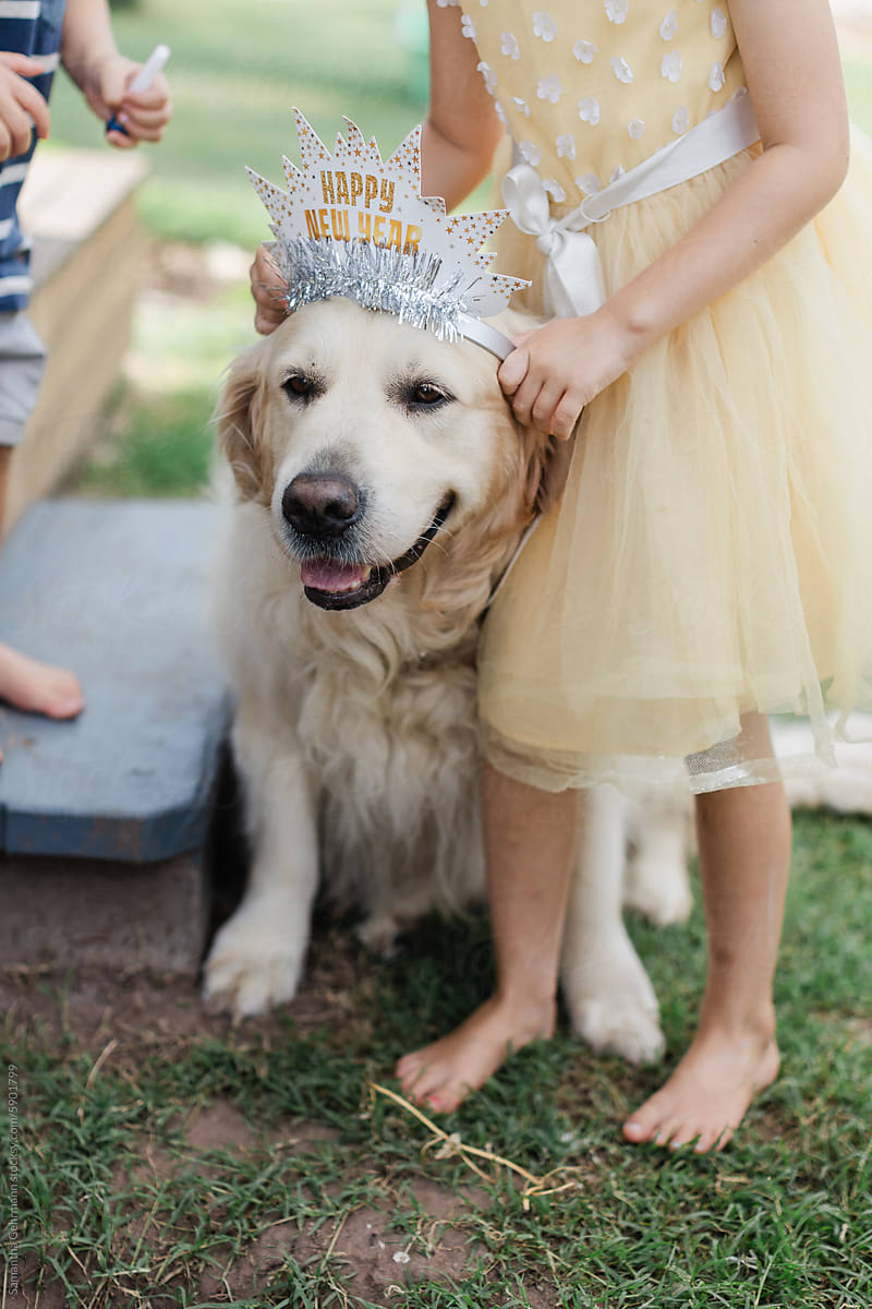 Children place crown on dogs head