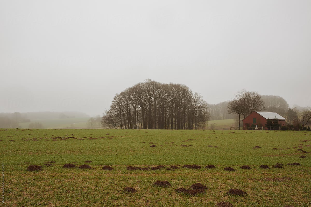 Winter fallow field in Teutoburger Wald area