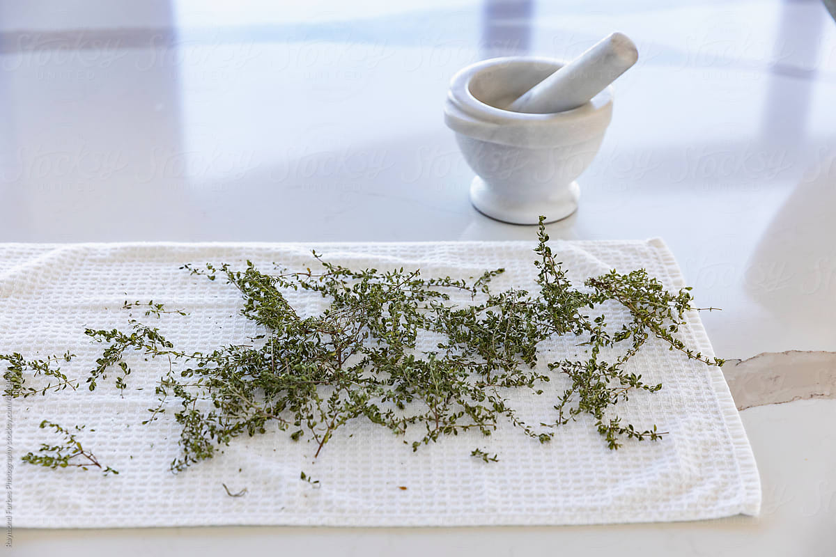 Fresh Thyme from Garden drying with mortar and pestle