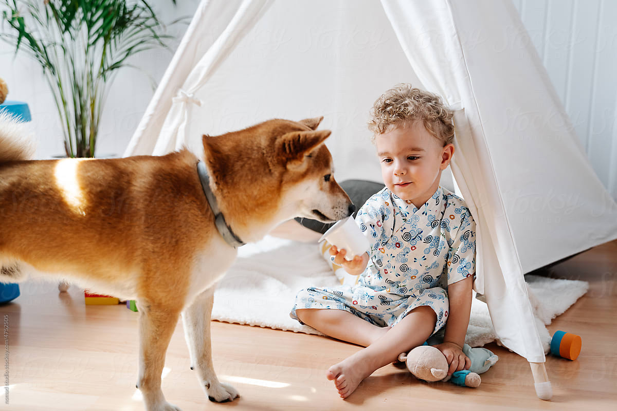 kid sharing a yoghurt with his dog