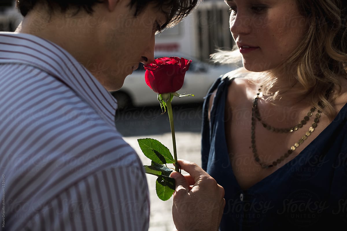Man gives a rose flower to his girlfriend