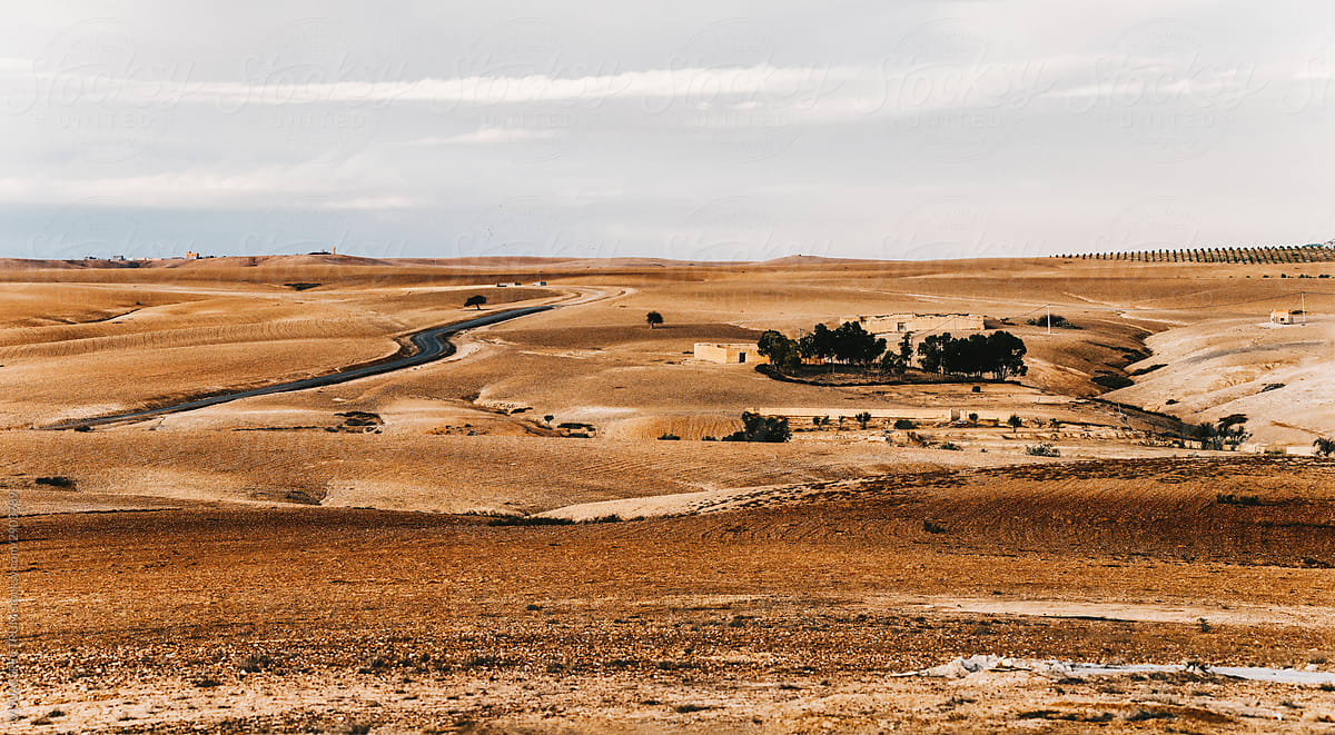 Barren African Desert Panorama