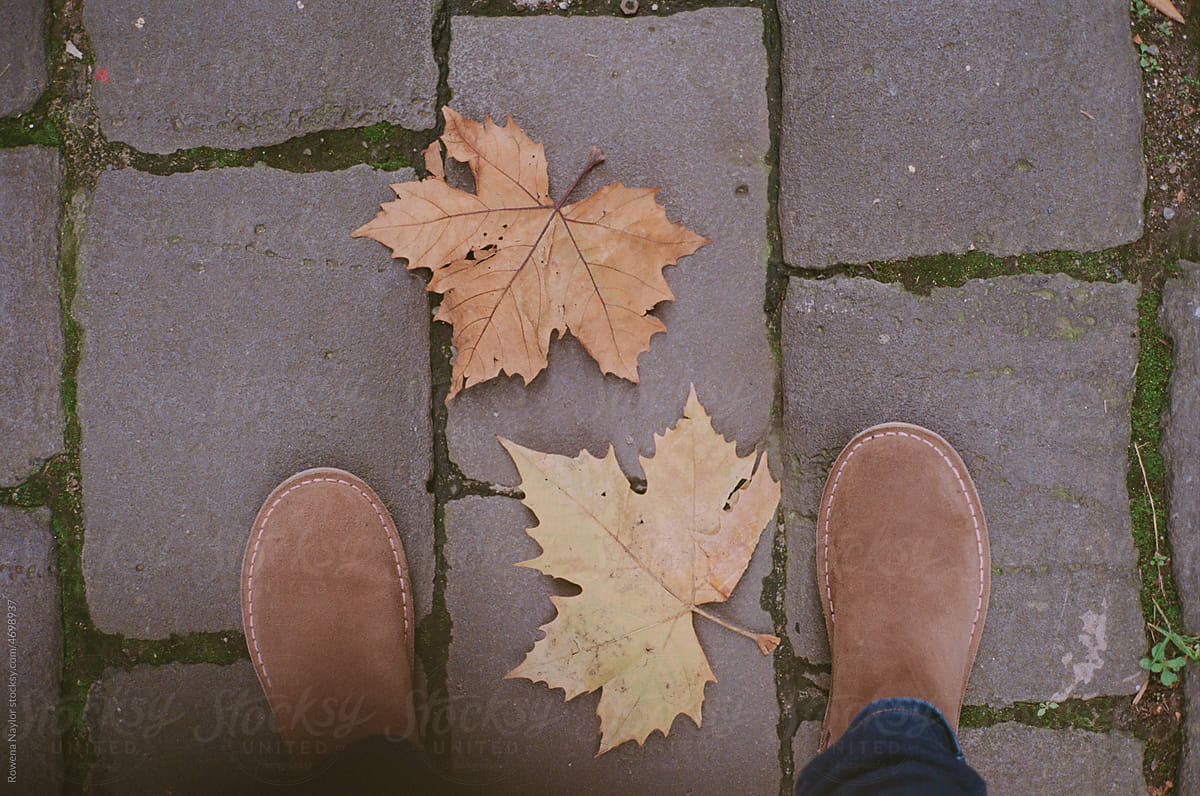 Autumn leaves at my feet