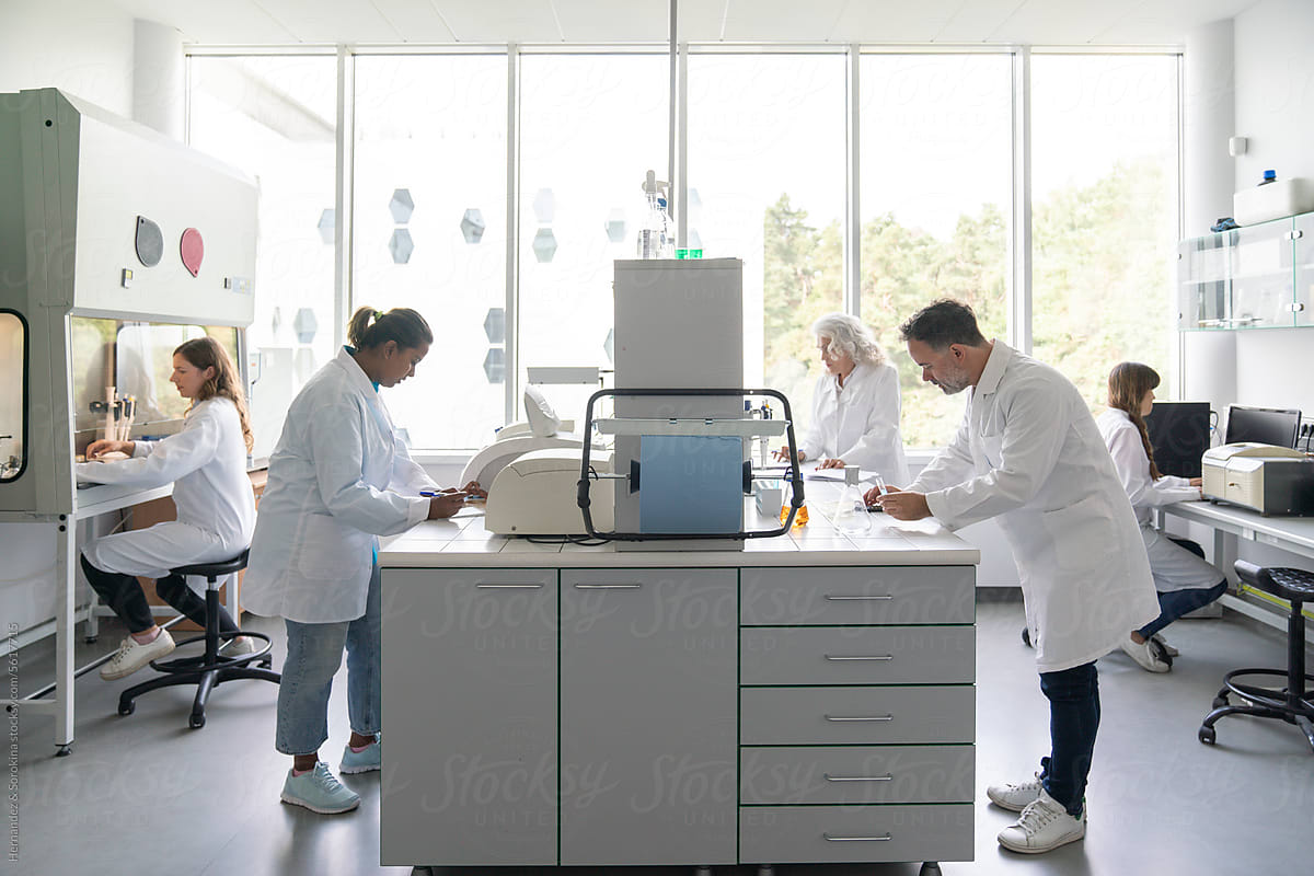 Many Researchers Busy In Modern Laboratory