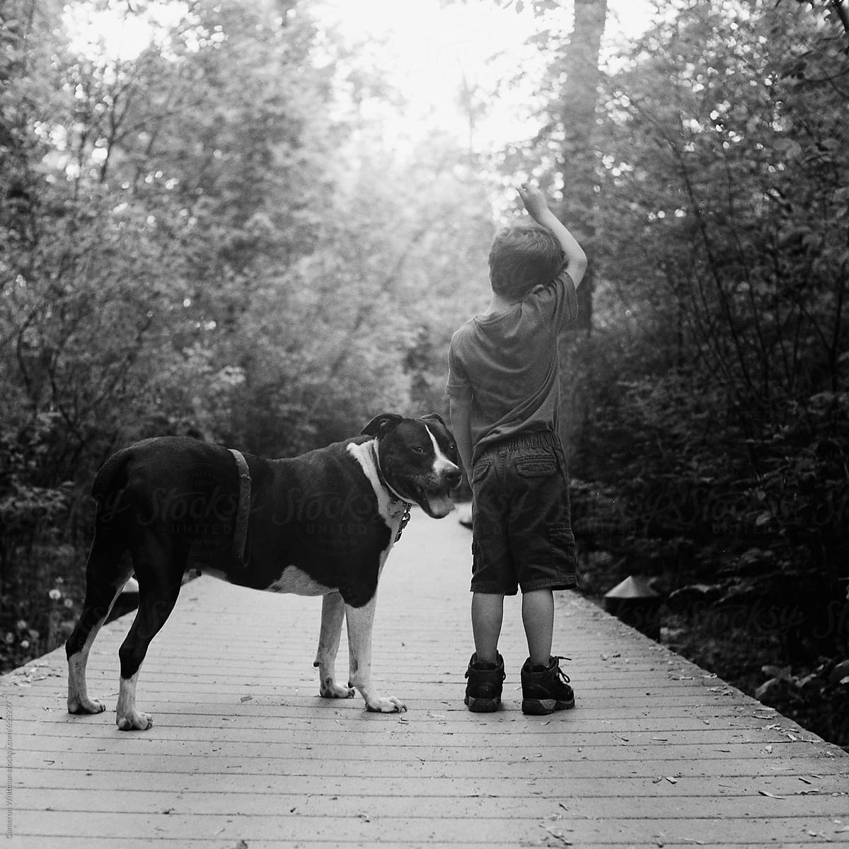 Boy And Dog On A Nature Walk By Stocksy Contributor CWP LLC Stocksy boy-and-dog-on-a-nature-walk-by-stocksy-contributor-cwp-llc-stocksy