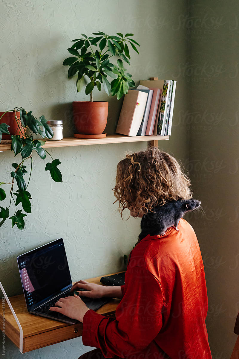 Woman sitting with pet rat and using laptop at home