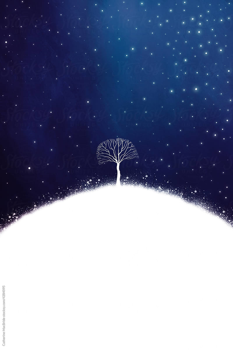 A single tree sits on a wintery snowy hill under a star filled sky