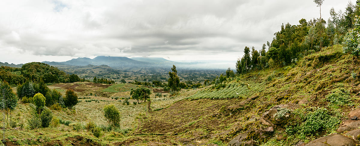 Virunga Massif - Rwanda