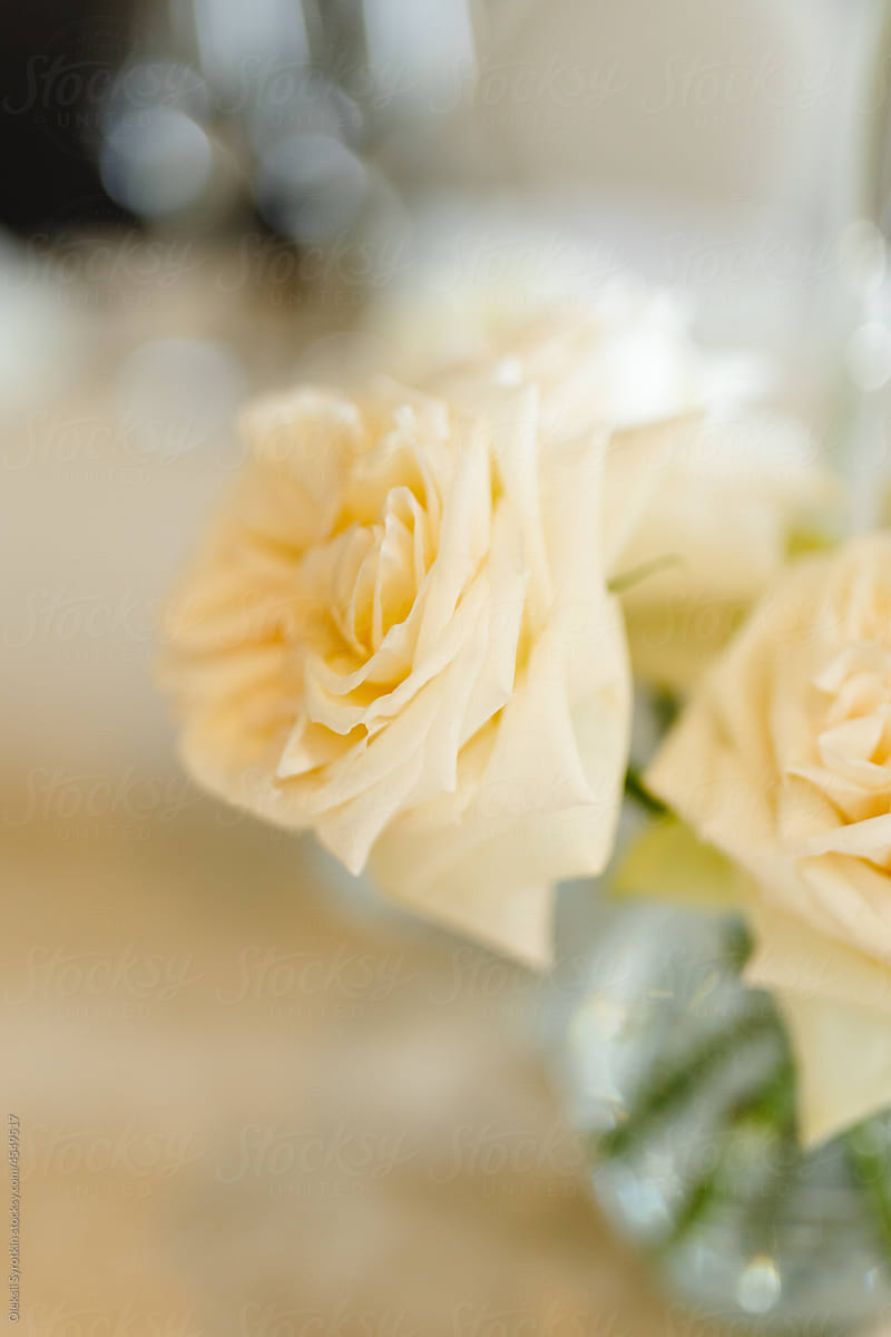 Rose in arranged bouquet