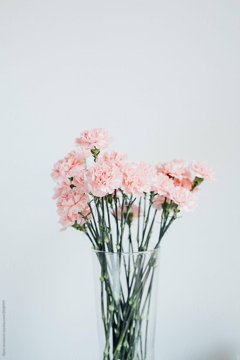 Beautiful flower arrangement against the wall