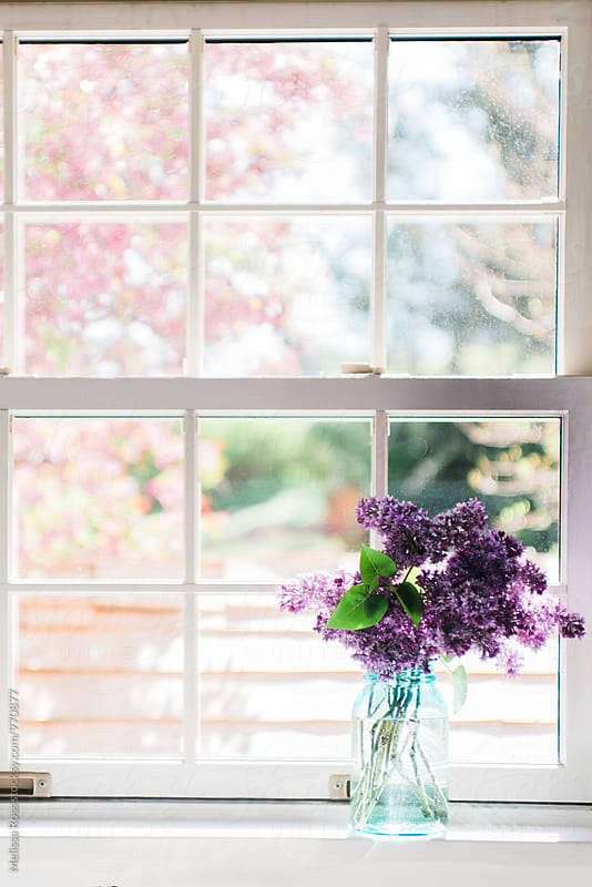 A jar of lilacs displayed in a mason jar on a windowsill.