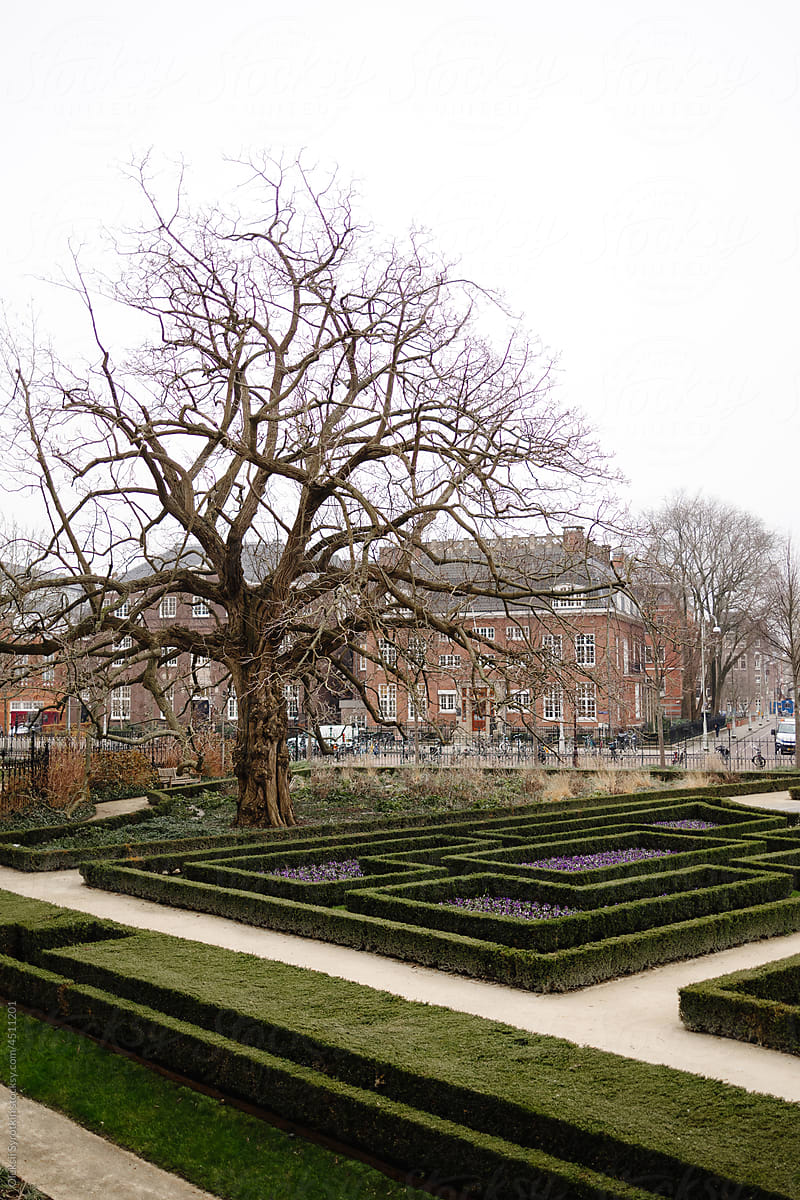 Manor with decorative landscape, which surrounded by fence