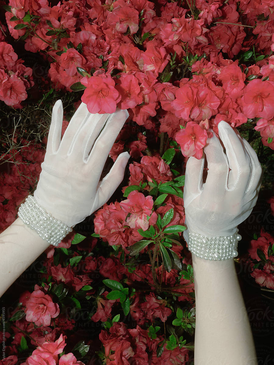 White Dress Gloves and Pink Blossoms