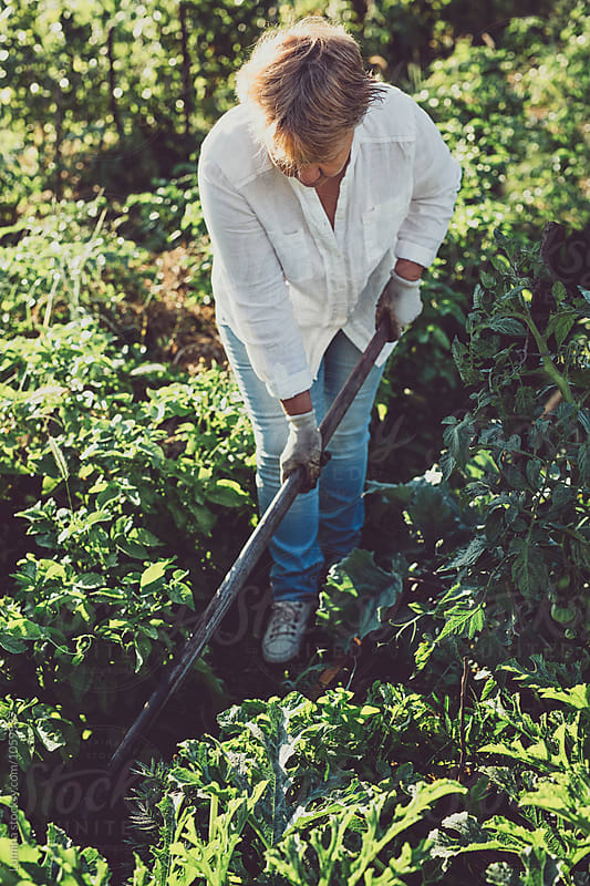 Woman Farmer Working in a Field