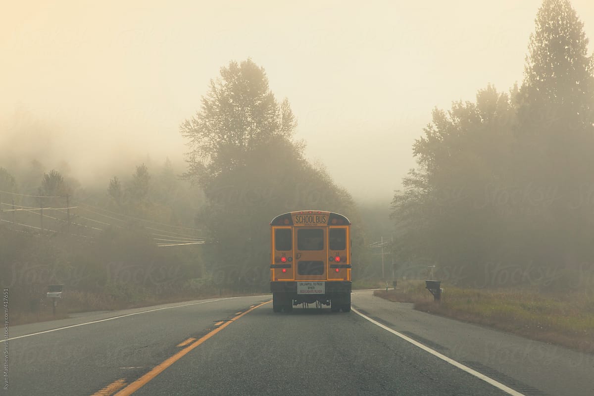 School Bus, Misty Country Morning