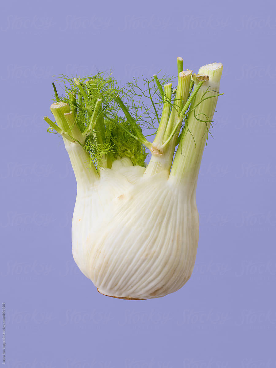 Colorful still life with a floating fennel