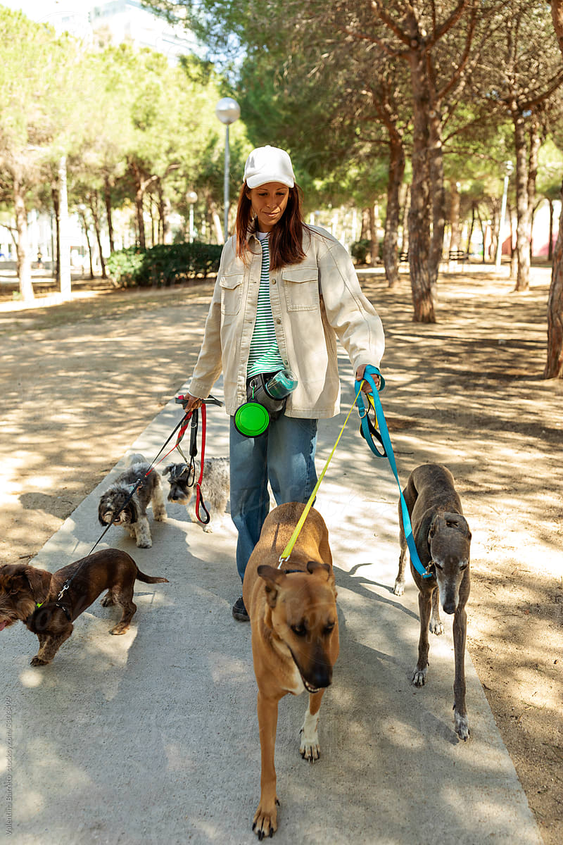 Woman with five dogs walking by the park