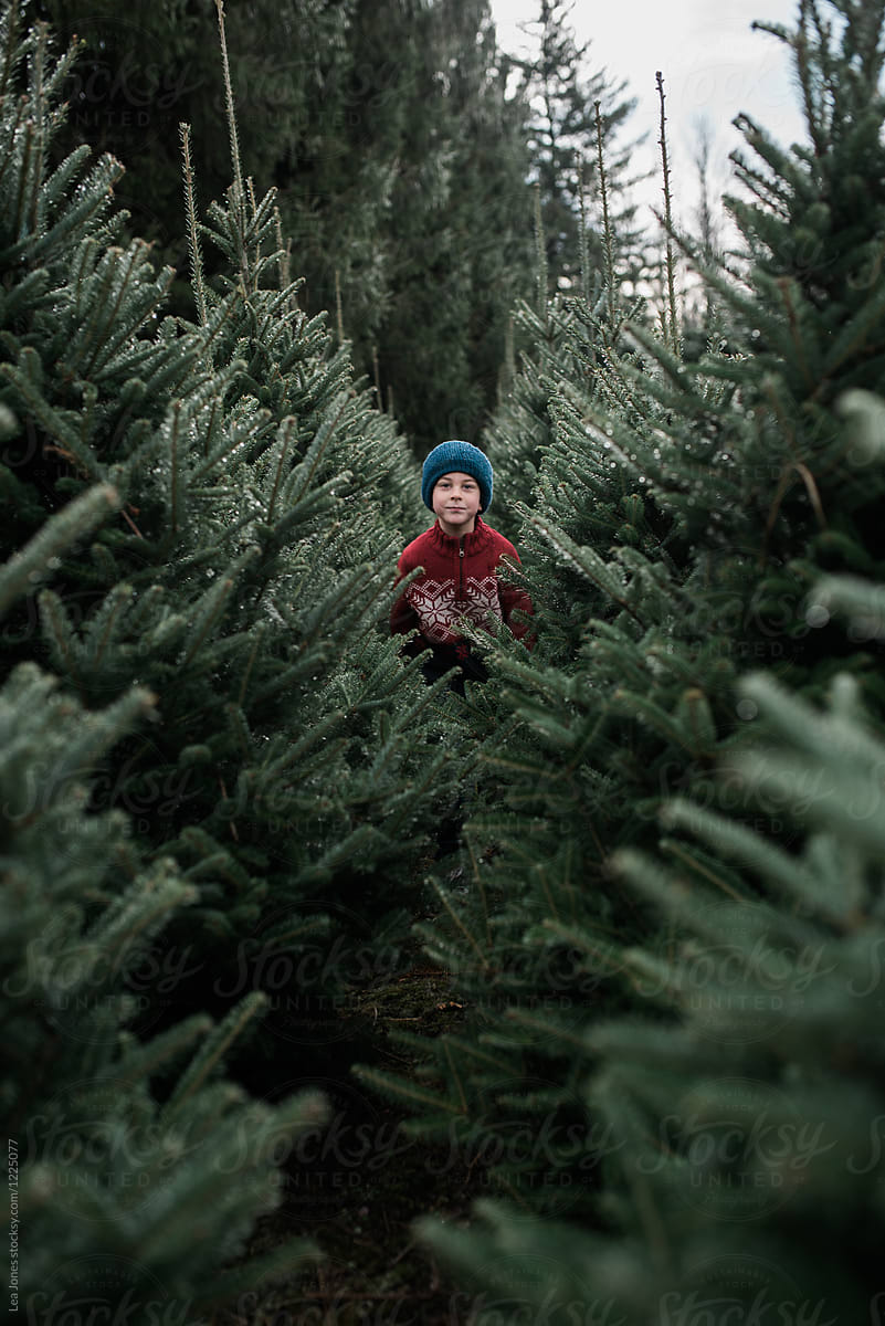 boy running in a row of Christmas trees