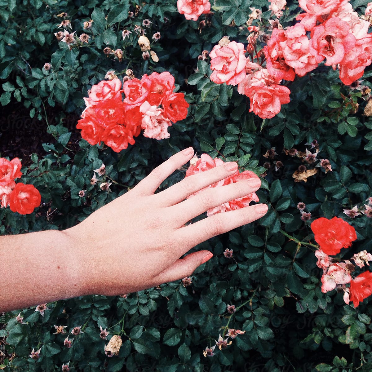 hand + flowers = beauty