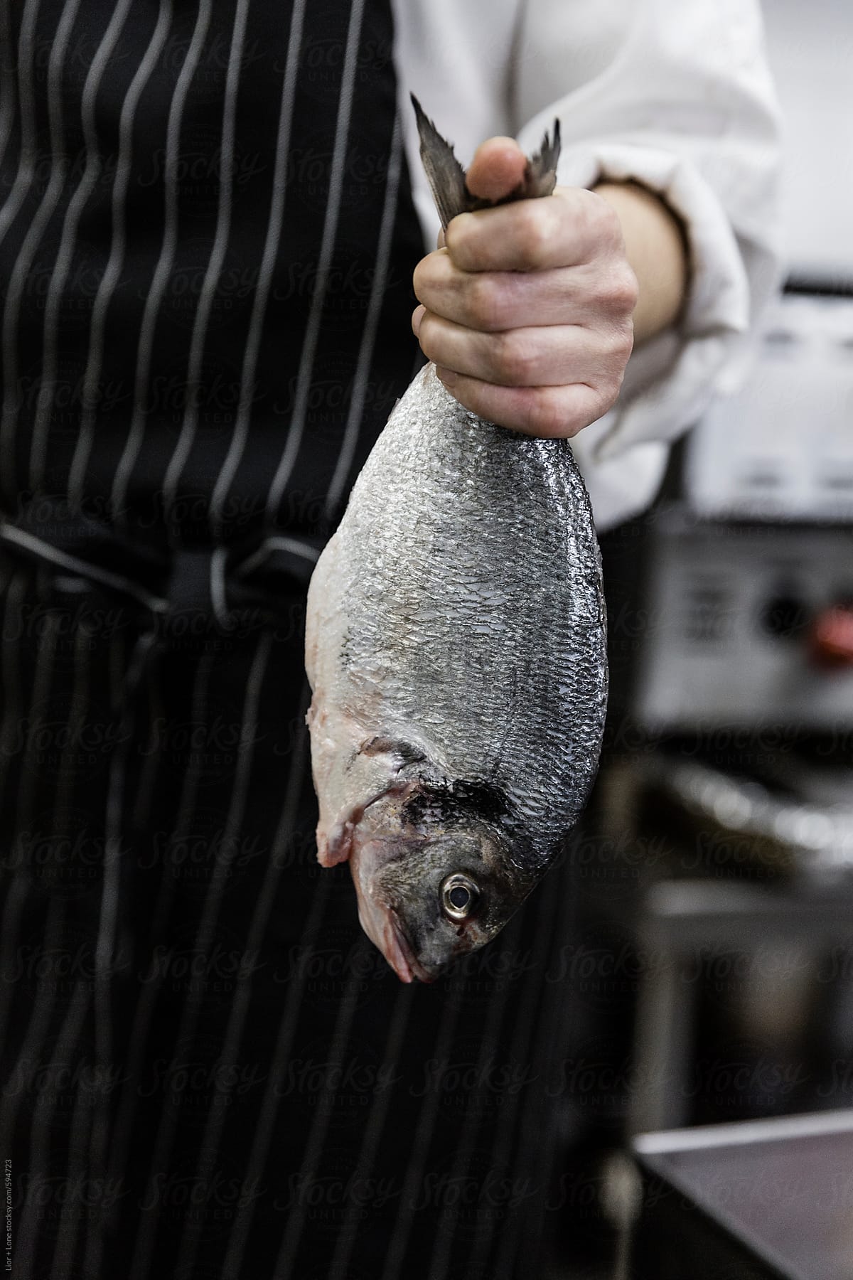 Chef holding fresh raw fish in his hand
