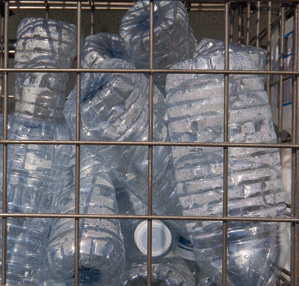 Plastic Water Bottles Ready for Recycling in Bin