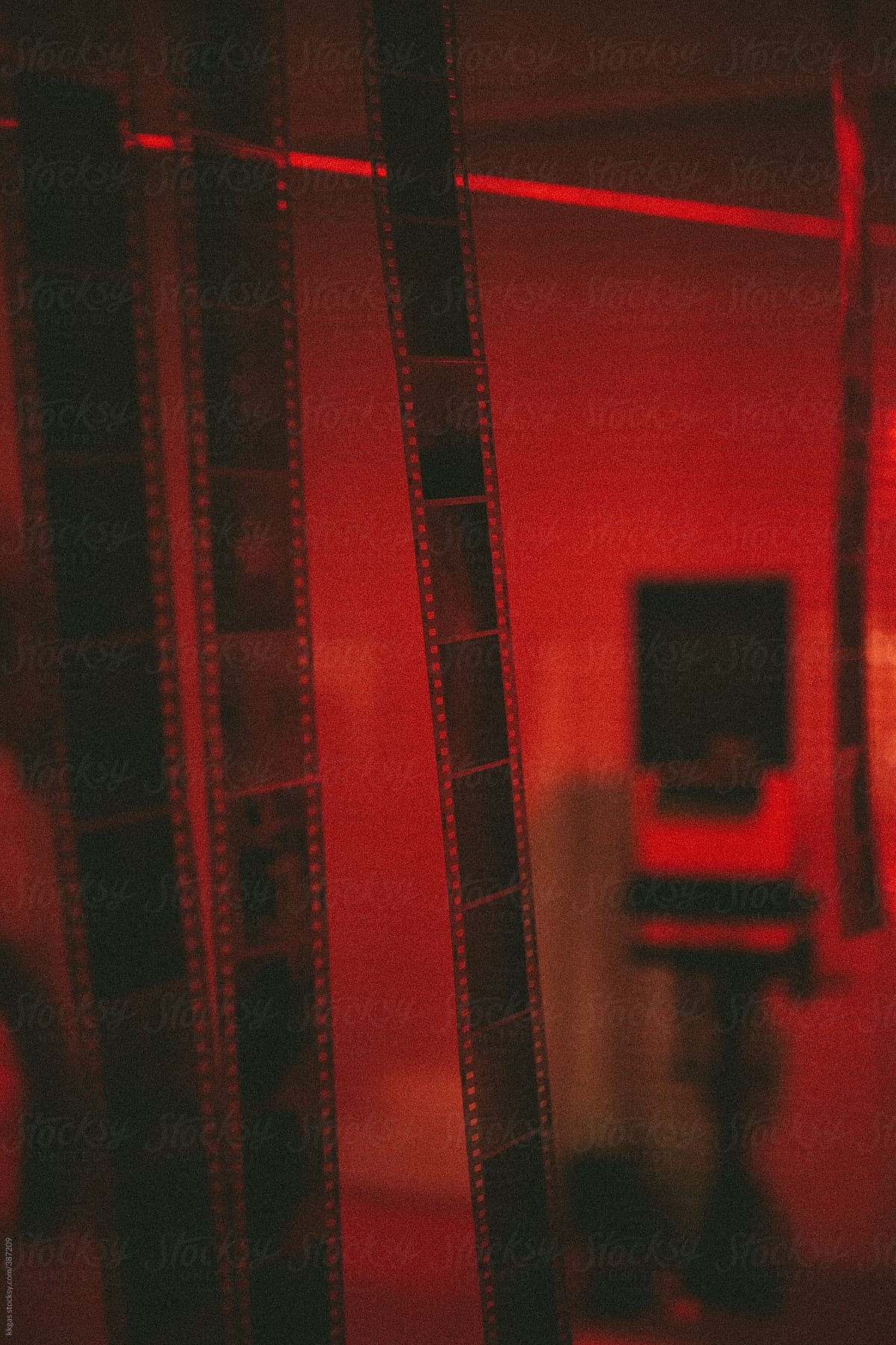Film negatives in a darkroom.