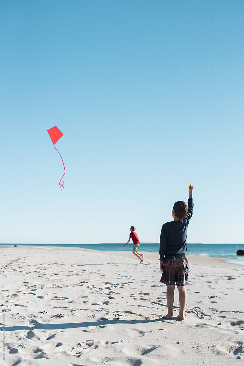 boy flying a kite on the beach