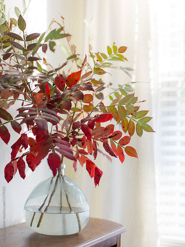 Fall Foliage in a Vase